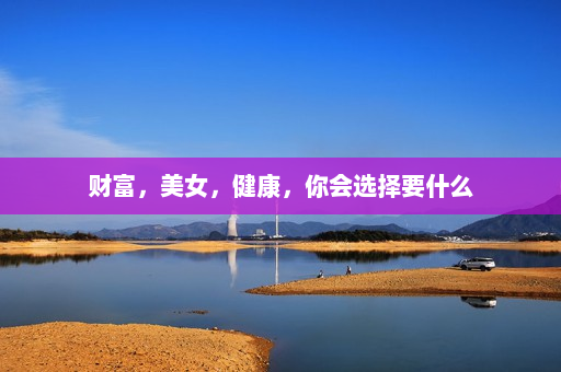  1. Wealth, beauty, health, what would you choose - Laoyang plug-in