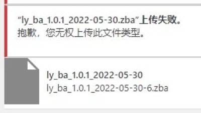 修改增加WP上传文件类型上传失败的问题图片