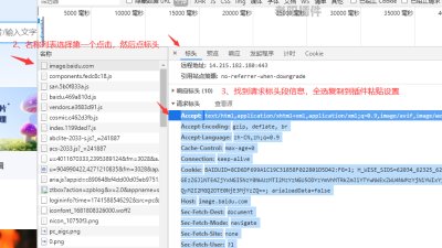 百度图片请求标头设置说明图片