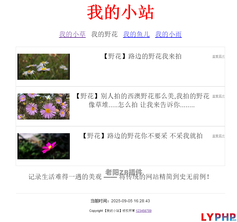 老阳插件网站首页单页策略插件图片 | 老阳插件