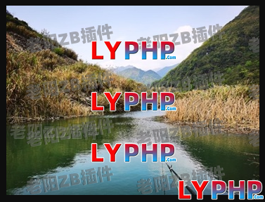 老阳插件PictureMakeover图片 | 老阳插件