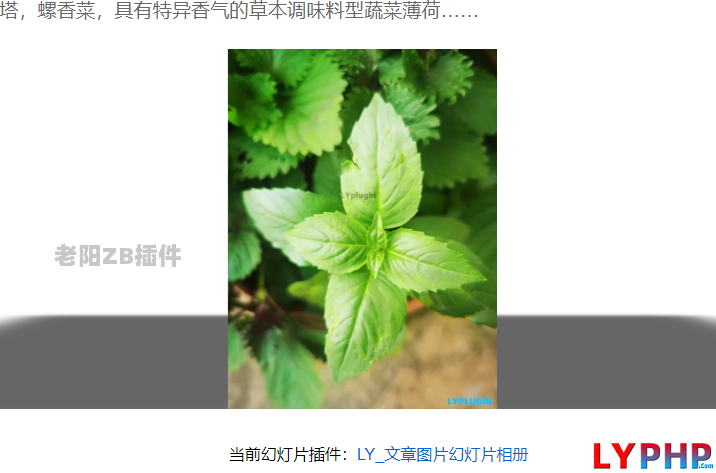 老阳插件文章图片灯箱幻灯片相册插件图片 | 老阳插件