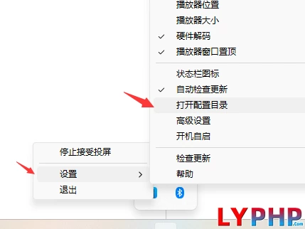 老阳插件Macast手机投屏电脑自定义最新mpv播放器MpvPlayer Renderer插件图片 | 老阳插件